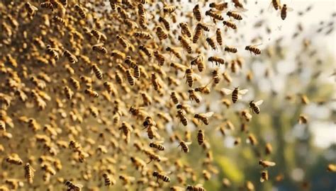 The Intriguing Behavior of Swarming Bees