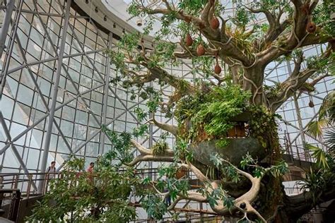 The Intriguing Concept of Indoor Forests