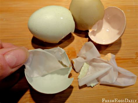 The Intriguing Link Between Egg Shell Peeling Visions and Personal Metamorphosis