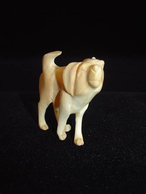 The Intriguing Mystery of an Ivory Canine Caressing My Countenance