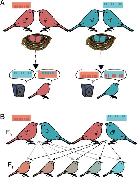 The Intriguing Realm of Cross-species Genetic Fusion