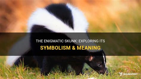 The Intriguing Scientific Explanation behind the Enigmatic Skunk Aroma