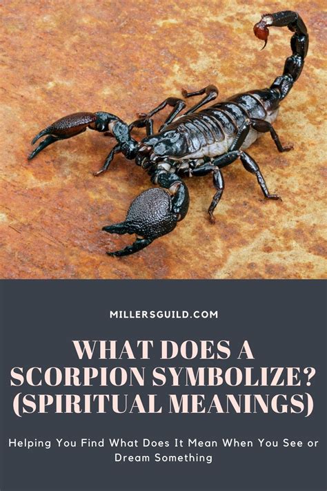 The Intriguing Symbol of Scorpion Biting: What Does it Indicate?