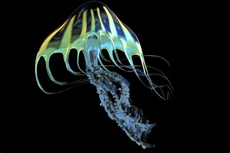 The Intriguing Universe of Bioluminescent Creatures