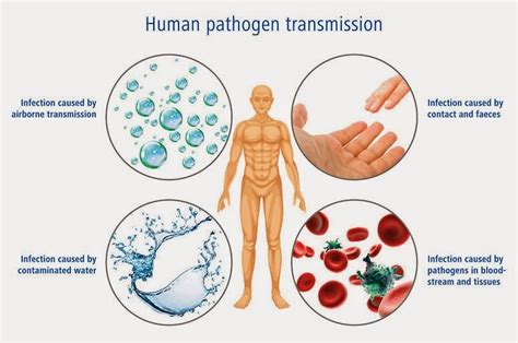 The Invasion of Pathogens: Why do Nightmares Often Feature Viruses?