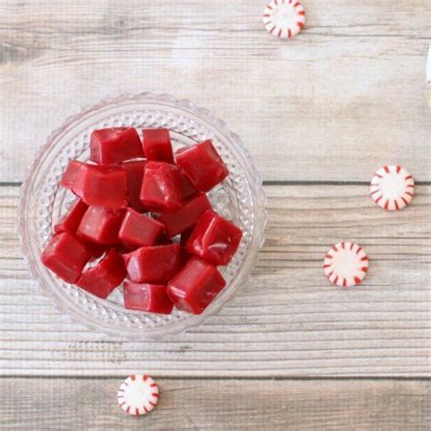 The Invigorating Flavor and Fragrance of Peppermint Confections