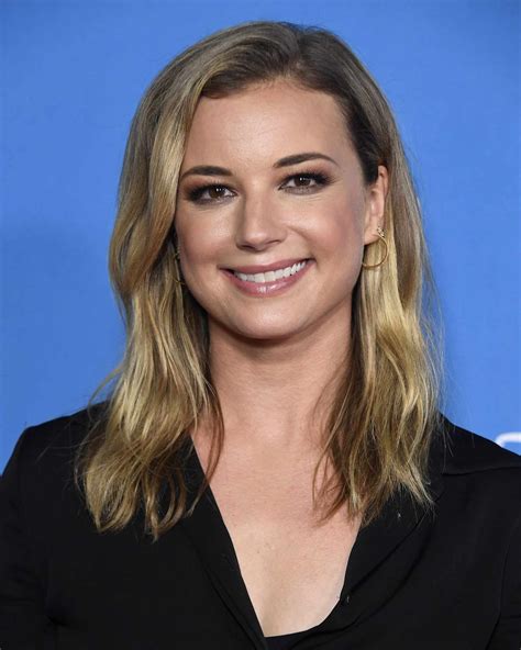 The Journey of Emily VanCamp in the Entertainment Industry