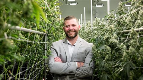 The Journey of Entrepreneurship: Success Stories in the Cannabis Field