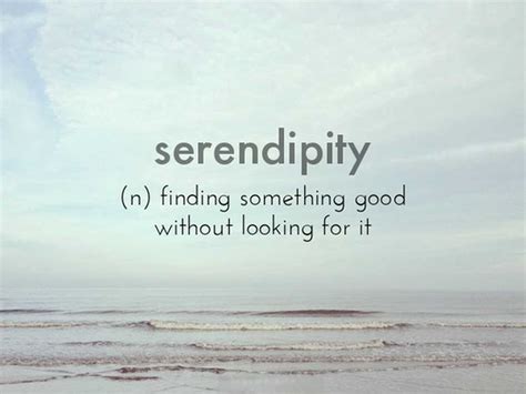 The Journey of Serendipity: Embracing the Unpredicted in Encountering an Unknown Individual