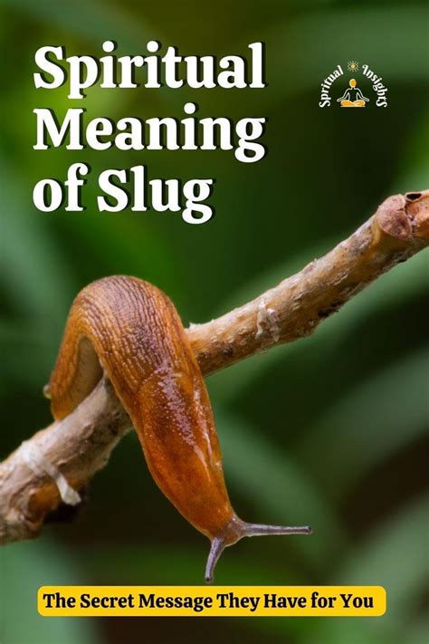 The Journey of Transformation: Exploring the Spiritual Significance of Slug Visions