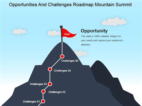The Journey to Success: Challenges and Milestones