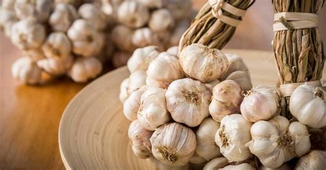 The Joy of Cultivating Your Own Crop of Garlic