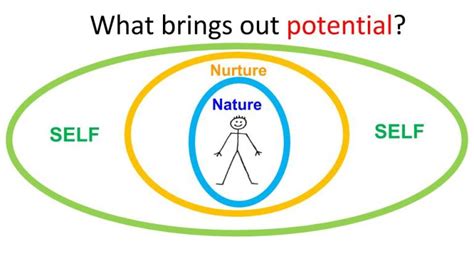 The Key to Harnessing the Potential of Pap