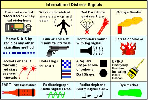 The Language of Fear: Decoding the Signals in Your Nocturnal Distress