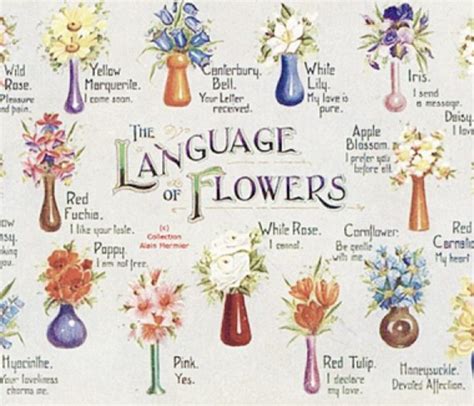 The Language of Flowers: A Historical Perspective