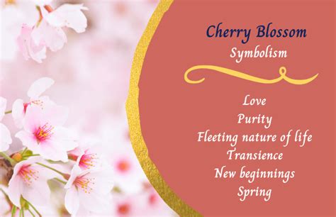 The Language of Romance: Symbolism and Significance Behind Gorgeous Blossoms