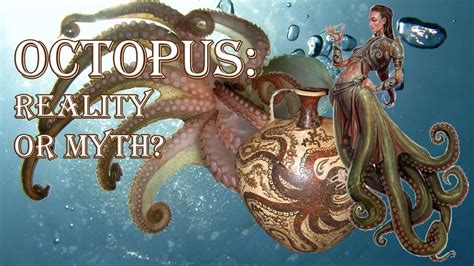 The Legend of the White Octopus: Myth or Reality?