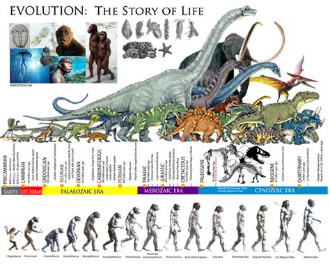 The Life Story of Dynahsaur: A Detailed Account of His Journey