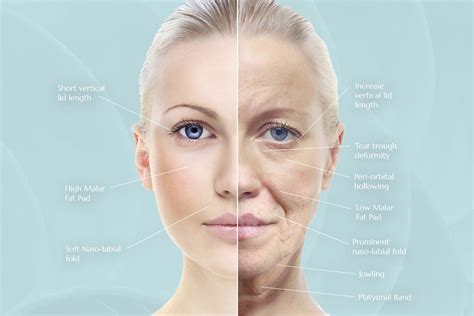 The Link Between Dreaming of Facial Wrinkles and the Process of Aging