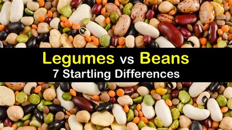 The Link Between Natural Legumes and Personal Development