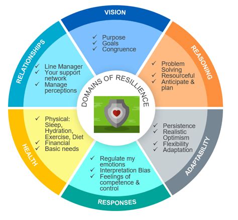 The Link Between Troopers and Personal Resilience in Visions