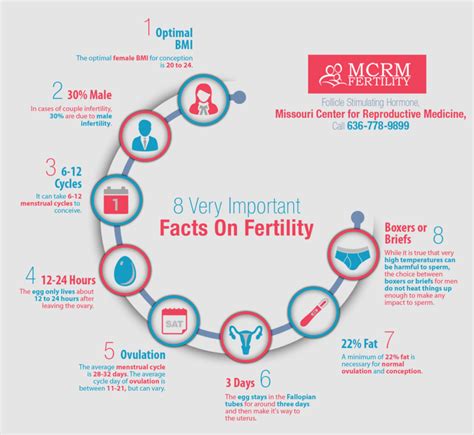 The Link to Fertility and Creation: What Your Dreams Might Be Telling You