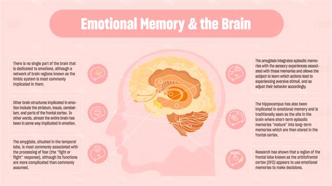 The Long-lost Companion: Memories and Emotions