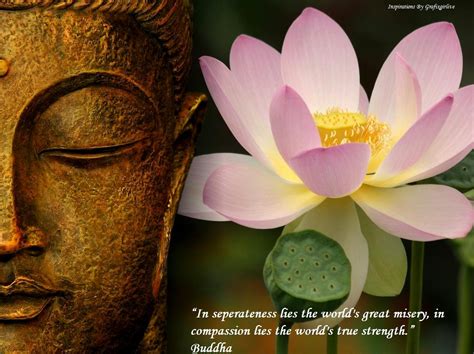 The Lotus in Eastern Religions: A Spiritual Journey