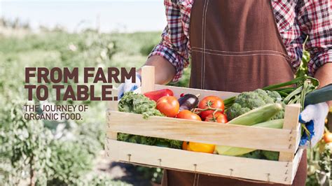 The Luscious Journey: From Farm to Table