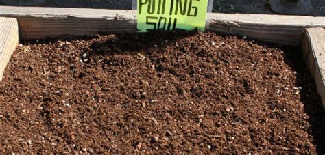 The Magic of Gardening: The Importance of Potting Soil