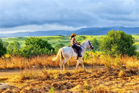 The Magic of Horseback Riding: Embrace the Excitement of Adventure