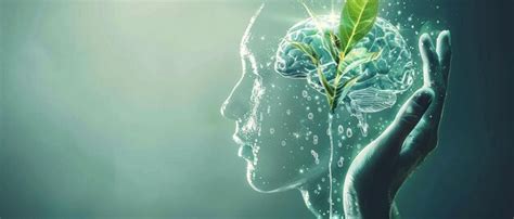 The Magic of Imagination: Nurturing a Garden within Our Minds