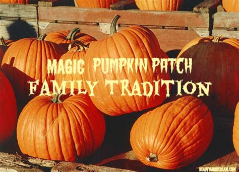 The Magic of Pumpkin Picking: An Autumn Tradition