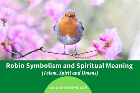 The Magical Essence of the Robin Bird: A Symbol of Optimism and Metamorphosis