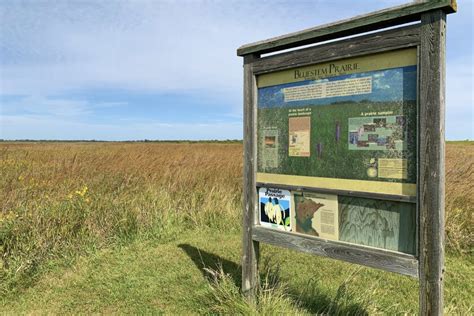 The Magnificence of Unrestrained Prairie