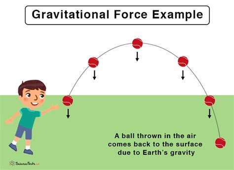 The Magnificent Force of Gravity