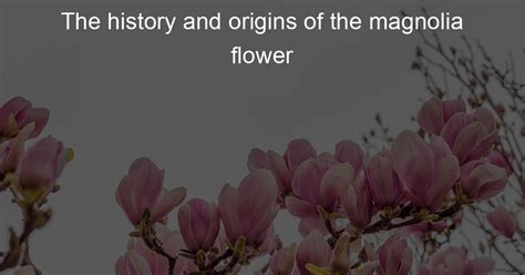 The Magnolia: A Flower with Ancient Origins