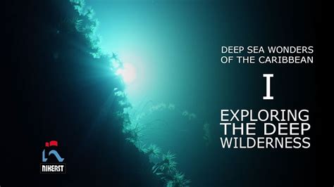 The Majesty of the Deep: Exploring the Wonders of the High Ocean