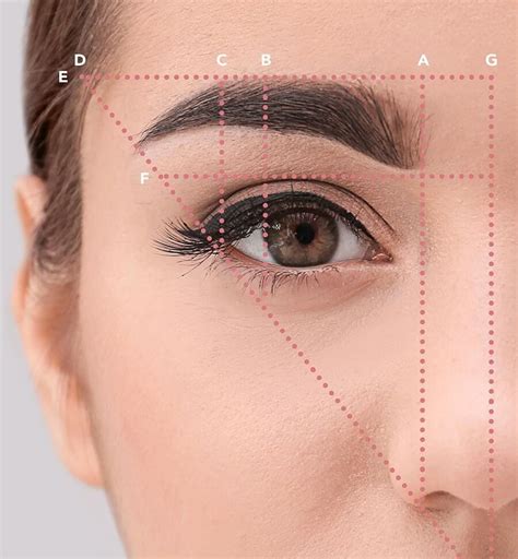 The Mastery of Brow Sculpting: Varied Techniques