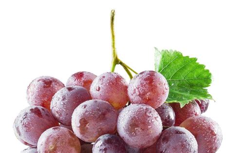 The Meaning Behind Cleansing a Bunch of Grapes Within the Realm of Dreams