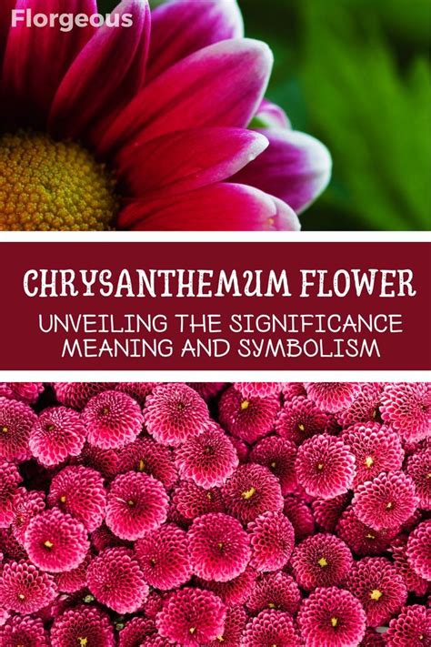 The Meaning Behind Flowers: Exploring the Significance Across Time and Cultures