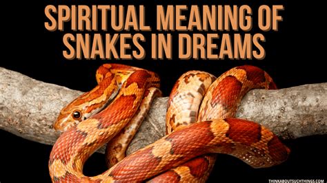 The Meaning Behind Snakes in the Realm of Dream Interpretation