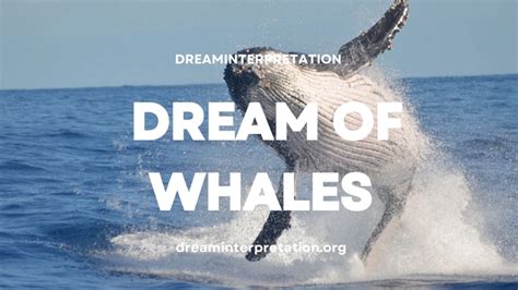 The Meaning Behind Whales in Dreams