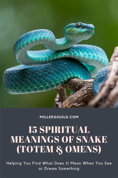 The Meaning Behind the Snake-Bird Metamorphosis in a Spiritual Context