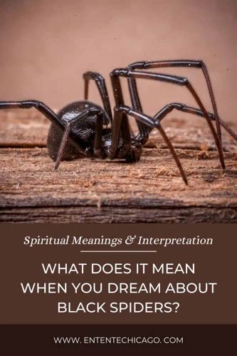 The Meaning behind Spider Symbols in Dreamscapes