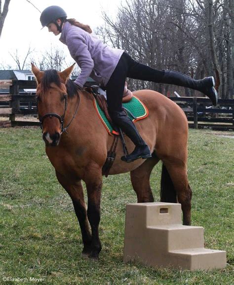 The Meaning of Dreaming about Mounting a Chestnut Equine