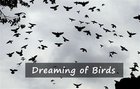 The Meaning of Dreaming about Receiving a Bird