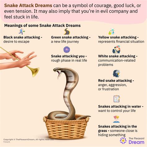 The Meaning of Dreams Depicting Snakes Attempting to Attack