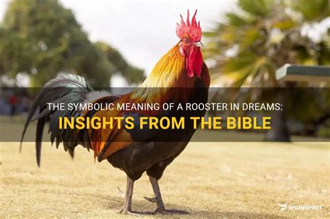 The Meaning of Rooster Dreams: Unveiling the Symbolic Messages