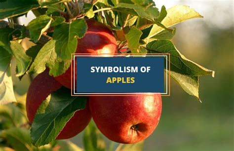 The Meaning of the Apple as a Symbol